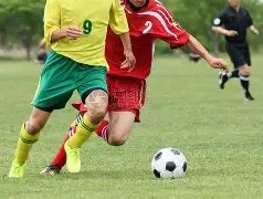 拜仁新星將,接替羅伊斯,參賽歐洲杯,中国乐彩网,中国乐彩网首页,中国乐彩网首页官方